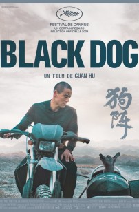 Black Dog (2025)